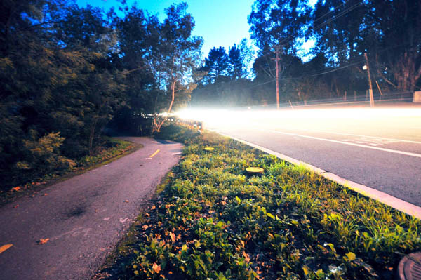 Pieces of the trail run alongside heavily trafficked streets. (WYATT ROY/Stanford Daily File Photo)