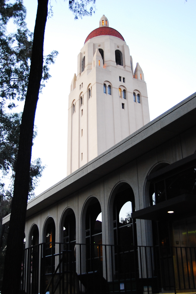 (MADELINE SIDES/The Stanford Daily)