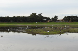 University monitors Lake Lagunita after fall storms