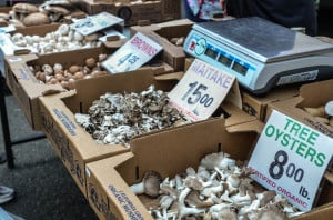 Far West Fungi at the Hamilton Avenue Farmer's Market in Palo Alto. Photo by Frances Guo.