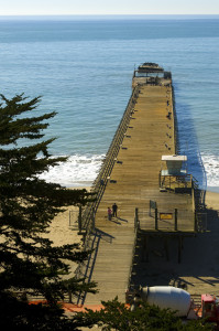 New Brighton State Beach. Courtesy of California State Parks, 2013.