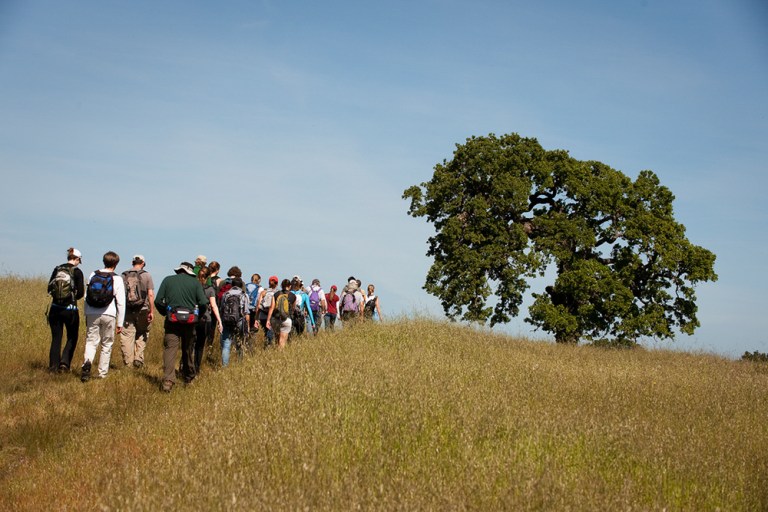 According to a spokesperson, Stanford is working closely with local fire departments to ensure they have access to Jasper Ridge and other remote Stanford properties in the case of a fire. (L.A. Cicero/Stanford News)