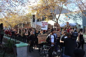 Students and community members participated in the SIlicon Shut Down demonstration on Tuesday morning (Courtesy of Kristian Bailey.)