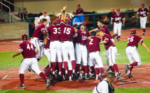 Baseball Celebration