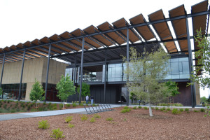 Stanford will be installing solar panels on several buildings across campus (ANDREA LIM/The Stanford Daily).