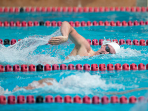 Stanford, CA - January 23, 2016.  Stanford Men's, Women's Swimming and Diving vs Arizona at Avery Aquatic Center on the Stanford Campus