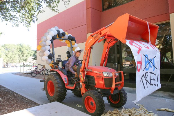 Sam Weyen '18, chosen as the new Tree by the LSJUMB, performs a stunt during Tree Week (NAFIA CHOWDHURY/The Stanford Daily).