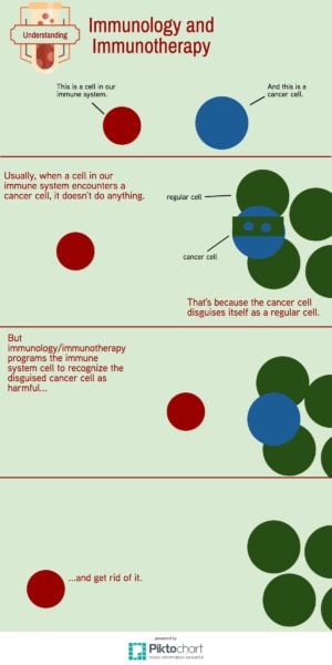 immunotherapy-immunology (4)