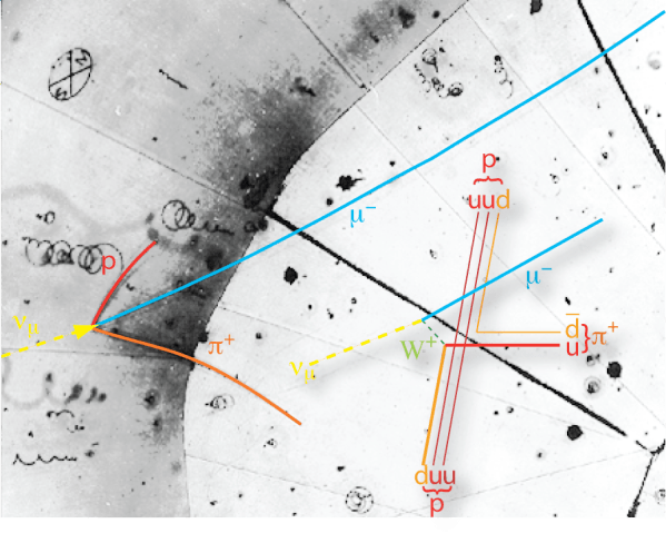 neutrino_bubble_chamber_decay_overlay