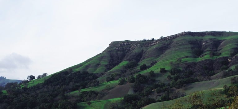 The Ohlone trail near campus (SAM GIRVIN/The Stanford Daily).