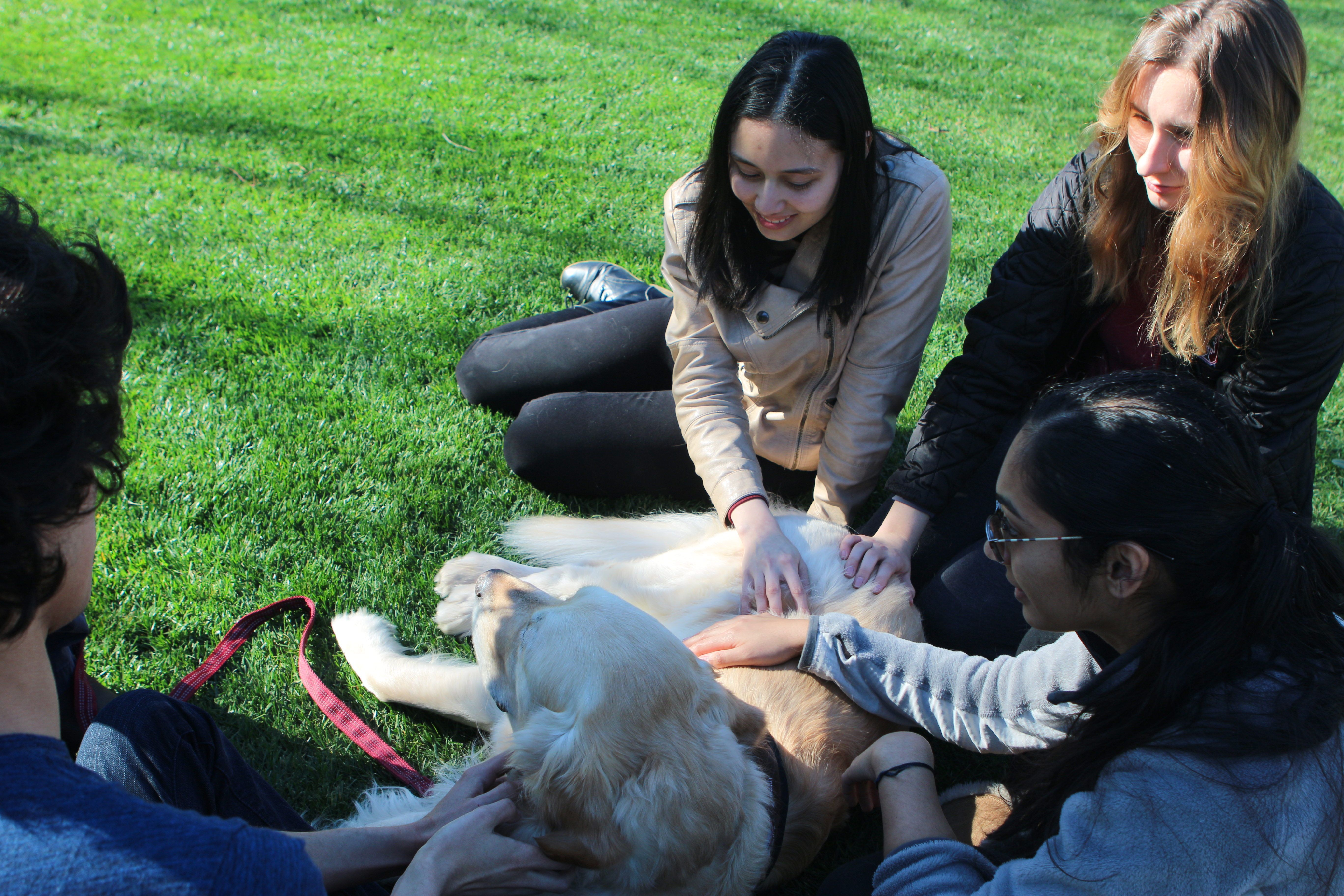 A zoo visits The Farm, Mikaela Berkeley and Tiffany Ong