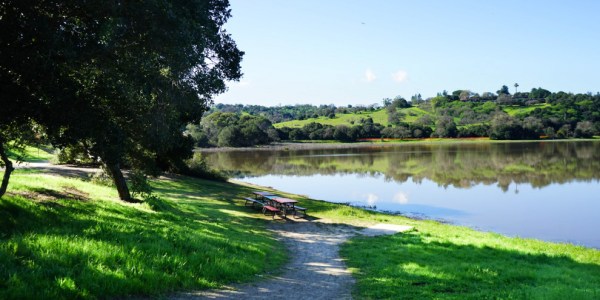 The University has warned against water activities at Lake Lagunita, in order to protect a rare salamander species (MELISSA WEYANT/The Stanford Daily).