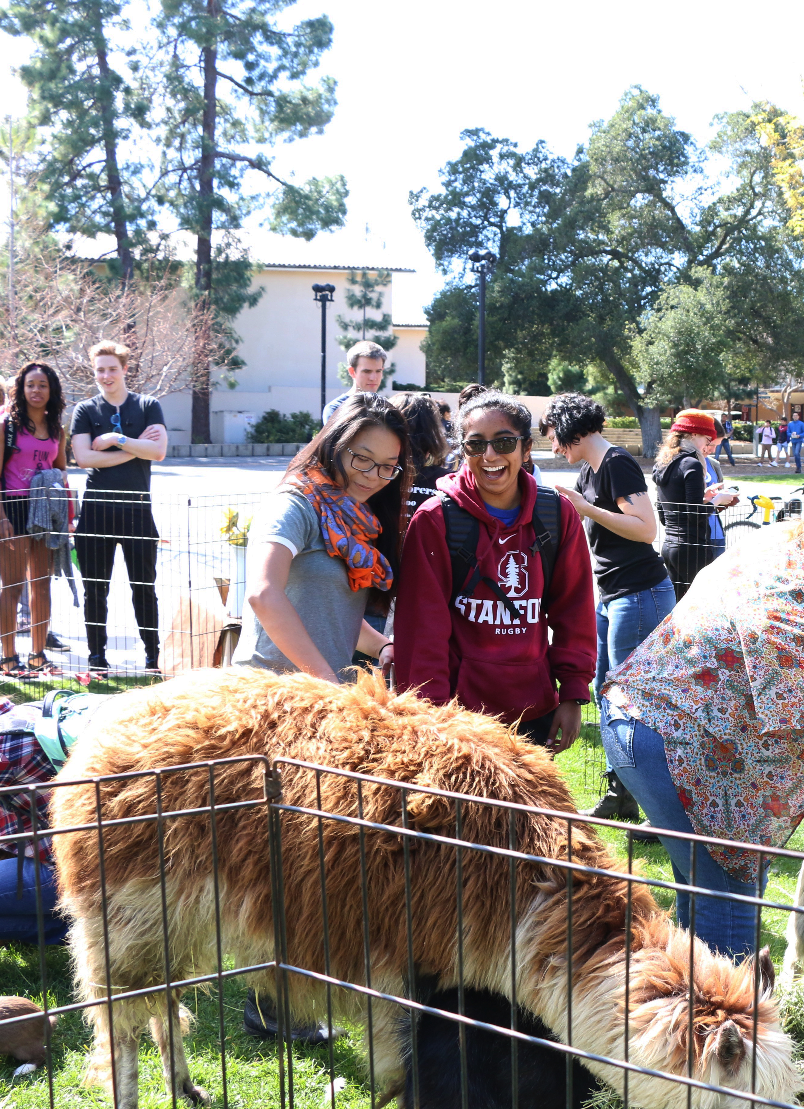 A zoo visits The Farm, Mikaela Berkeley and Tiffany Ong