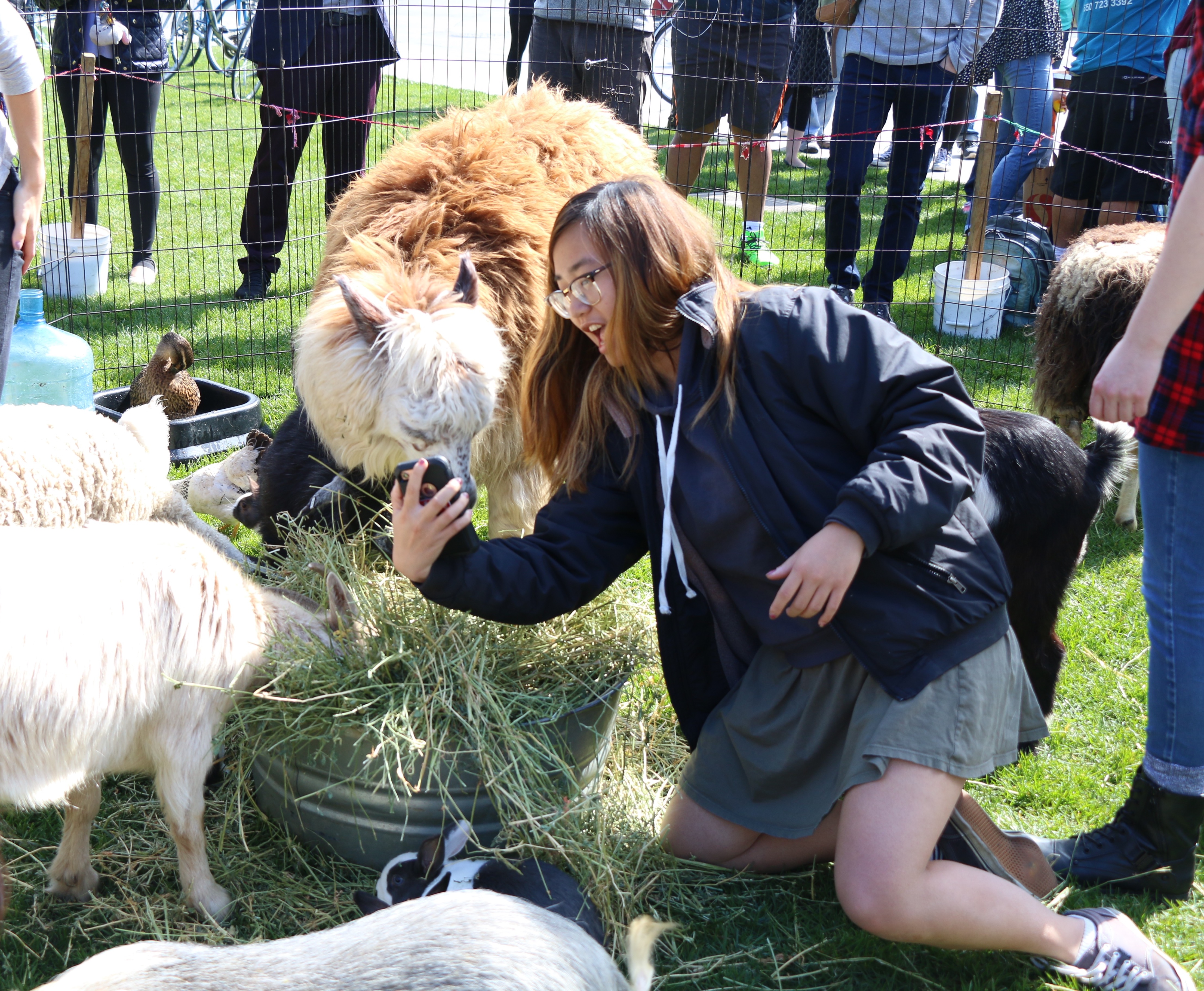 A zoo visits The Farm, Mikaela Berkeley and Tiffany Ong