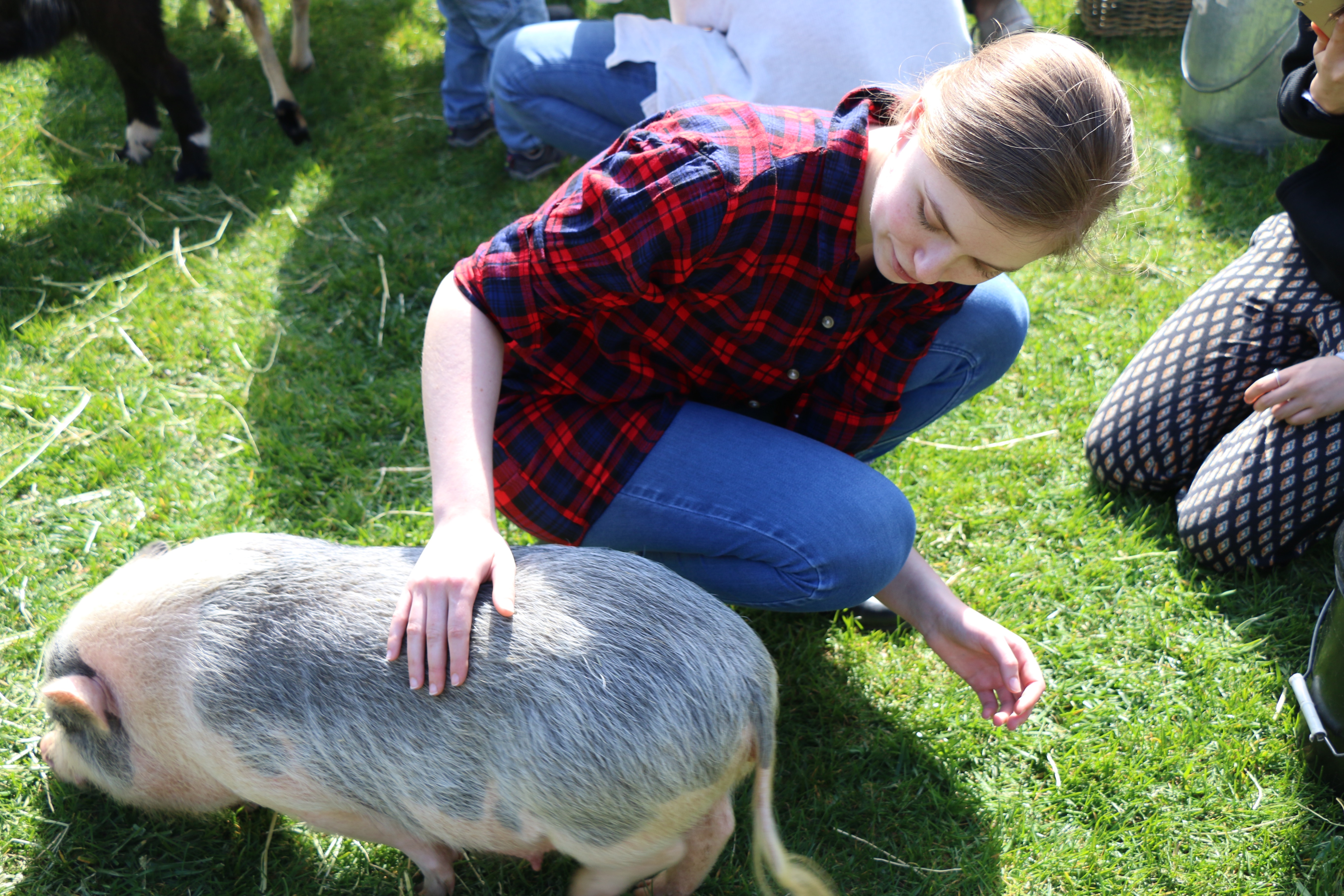 A zoo visits The Farm, Mikaela Berkeley and Tiffany Ong