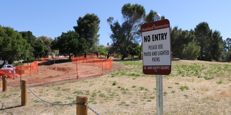 Scary path. Kevin Hsu/THE STANFORD DAILY