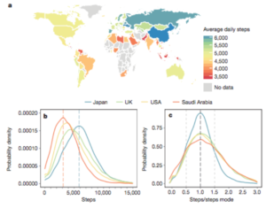 Activity inequality raises obesity rates, Stanford researchers find