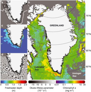 Iron in glacial runoff causes algae bloom, Stanford researchers find