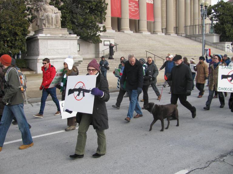 March on Washington for Gun Control 2013 (Courtesy of Wikimedia Commons).