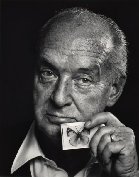 SparkNoting the irreducible: Nabokov in translation