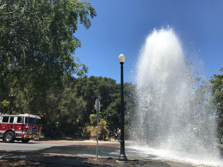 (Courtney Douglas/The Stanford Daily)