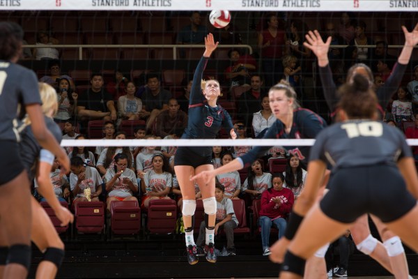 Hayley Hodson '19 (#3), a former Stanford volleyball star and AVCA Freshman of the Year, testified for SB206 in front of the Higher Education Committee of the State Assembly earlier this year. Hodson turned down endorsements and a television show to maintain her NCAA eligibility before her retirement in 2017. (AL CHANG/isiphotos.com)