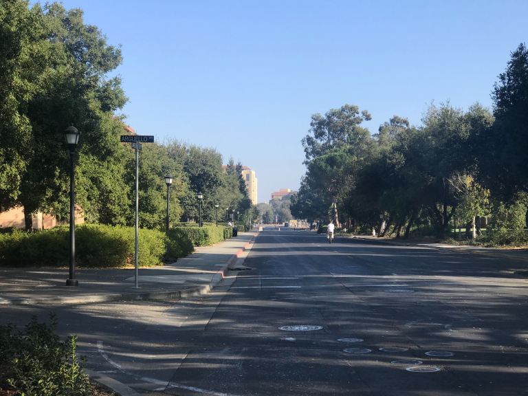 A female was reported to have been pushed off of her bicycle and called a racial slur on Nov. 7, according to an AlertSU. (Photo: Evan Peng/The Stanford Daily)