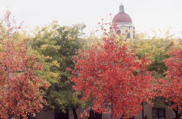 If you're not going home for Thanksgiving, don't fret, because Sarayu Pai provides several options that one could choose from in order to occupy their time over the break. (Photo: LINDA A. CICERO / Stanford News Service)