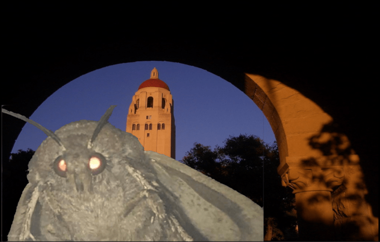 An Area Moth Just Before Being Yeeted (Photo Edit: BEN MIDLER/The Stanford Daily)