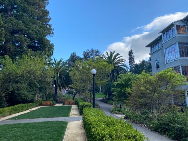 View of the area immediately east of Kingscote Gardens (Photo: ADRIAN LIU/ The Stanford Daily)