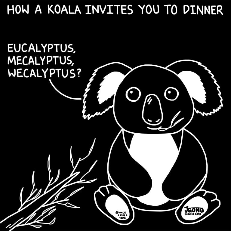 Eucalyptus