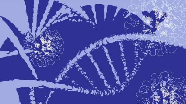 The COVID-19 pandemic has infected at least an estimated 4.19 million people globally. Our roundup this week highlights researchers using statistics to track coronavirus mutations among infected populations. (Graphic: AMY LO/The Stanford Daily)