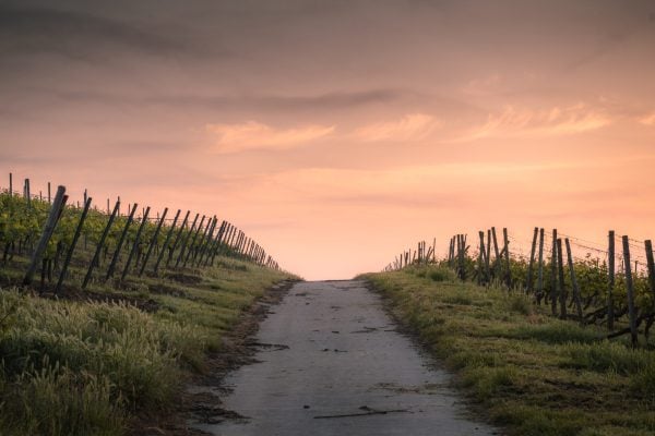 Today, I attempt to exist as Asian American, without the expectations of being Asian American. This is far from a perfect solution, but it is the scaffolding I am relying on to pave my path of self-discovery.
(Photo: Unsplash)