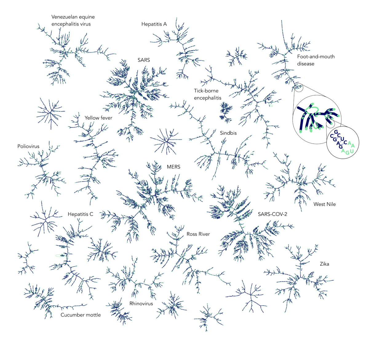 Creative reencounters with research in Art of Science 2020 Exhibition