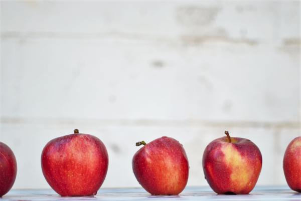 A row of wet apples (PHOTO: Isabella and Louisa Fischer/Unsplash.com)