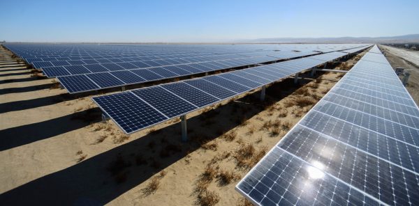 Rows of solar panels are tilted upwards to face a clear blue sky.