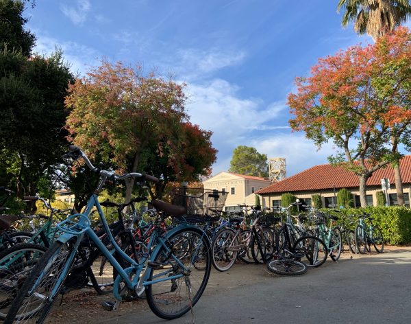 Crowded bikes at Tresidder's bike parking lot