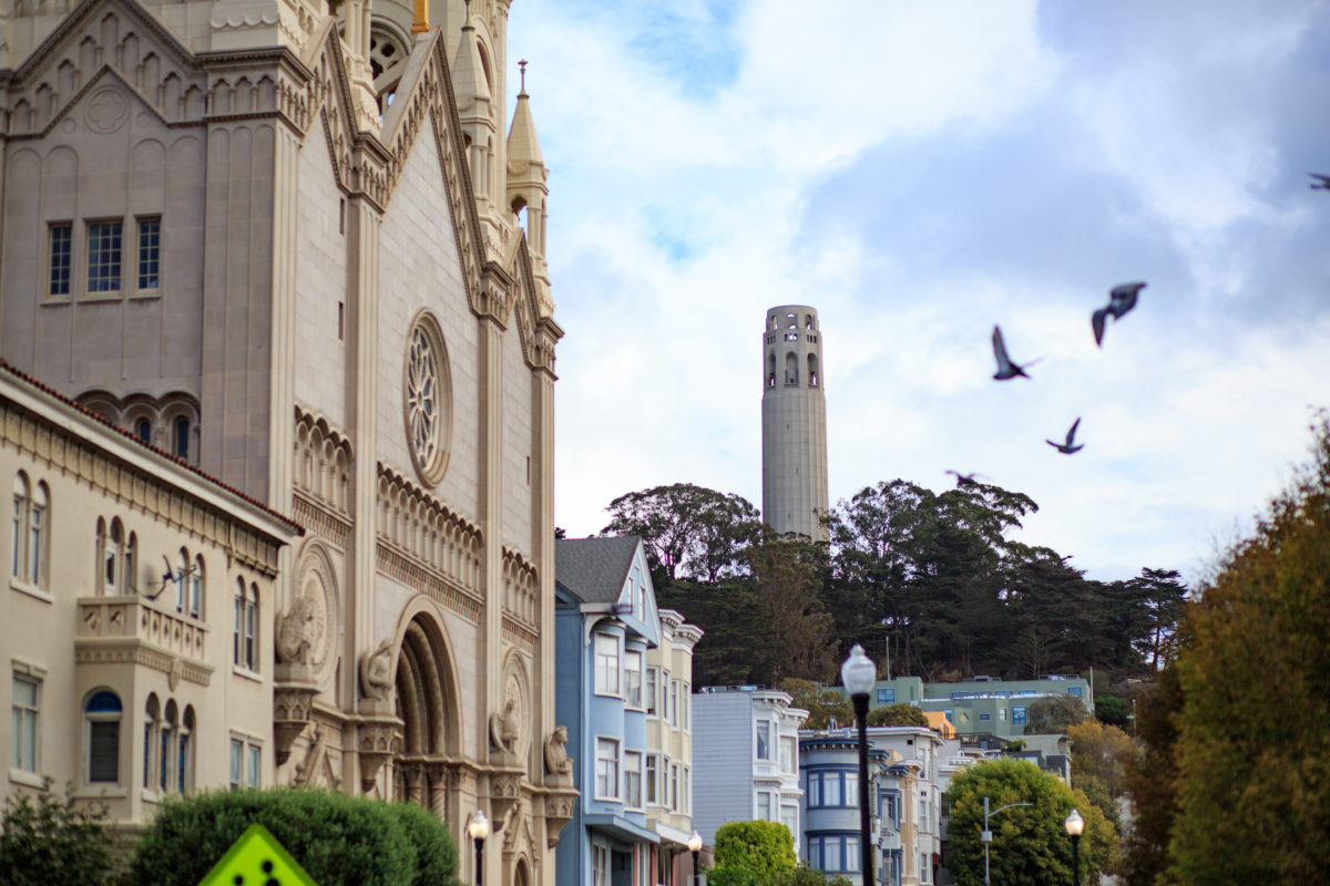 Coit tower in background behind buildings