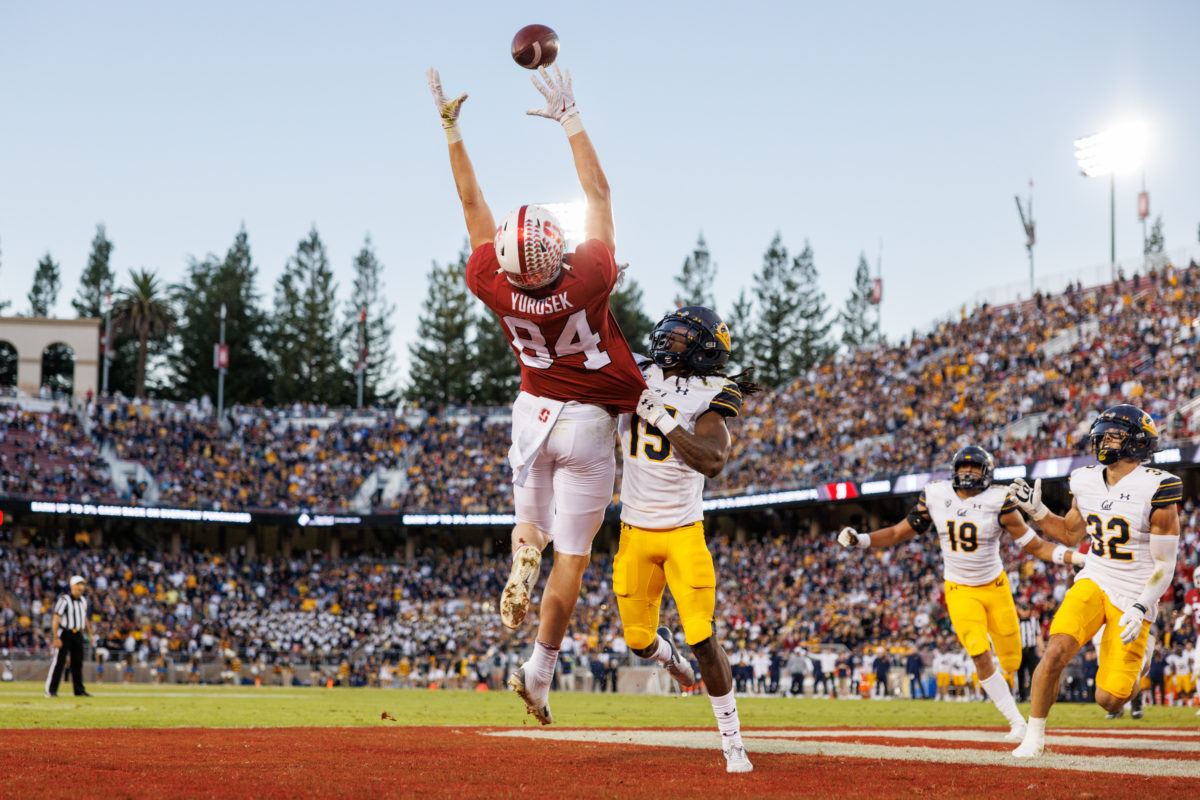 Stanford football player leaps for the ball at Stanford Stadium as Cal players run towards him, crowd in background