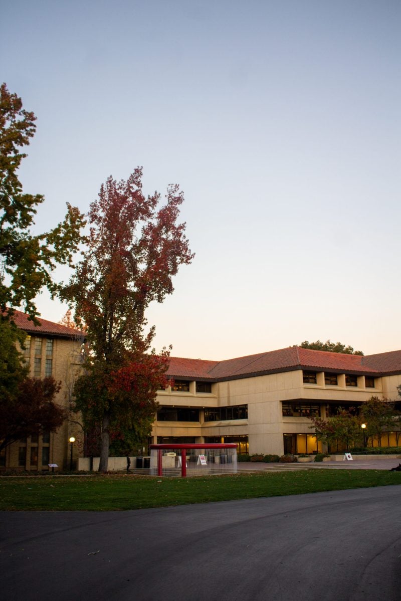 A tall red tree stands to the left to the entrance of Green Library.