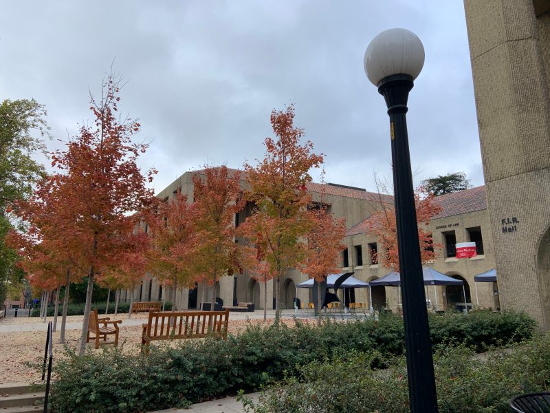 In front of Law School. Several red-leaved trees stand by a light pole in front of the Law School.