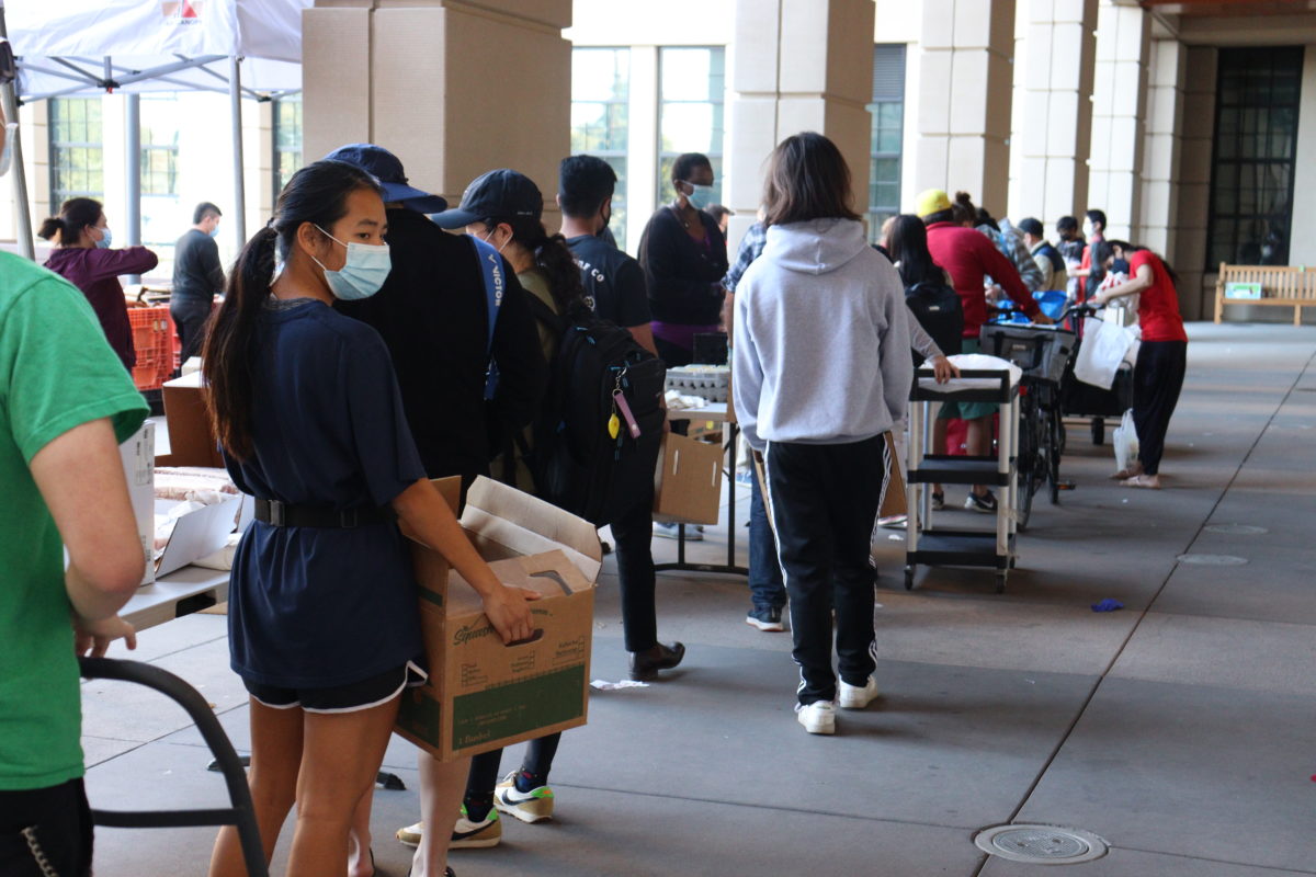 About 30 students pictured lining up with boxes and carts to collect their produce and food. 