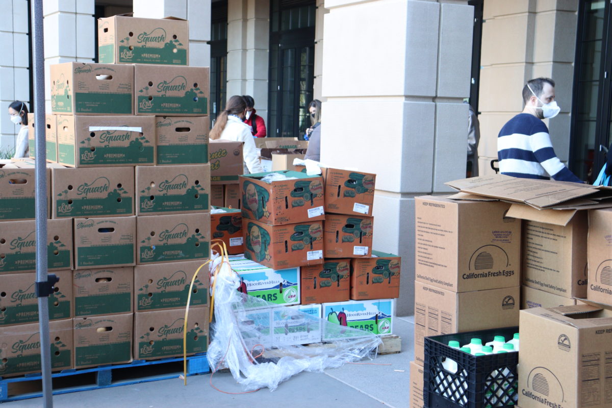 Over 50 boxes of squash, cucumber, and eggs