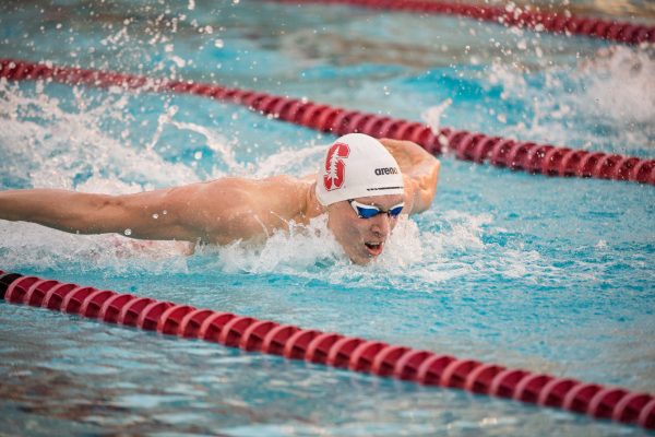 Andrei Minakov swimming butterfly