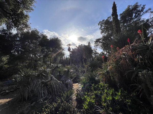 The Arizona Garden at sunset.