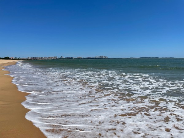 Waves crash onto golden sand beneath a cloudless blue sky.