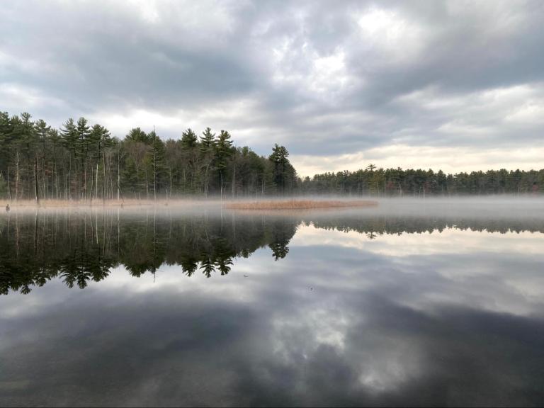 A landscape of a winter pond and trees in the back