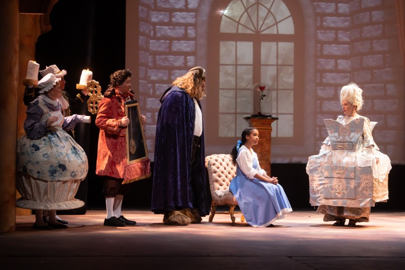 Against the backdrop of a domestic setting, the beast wearing a blue velvet cape invites Belle to dinner. Belle is wearing an ordinary blue dress and sitting with her back facing him. Other figures present in the room are a lady dressed up as a drawer and another dressed as a teapot.