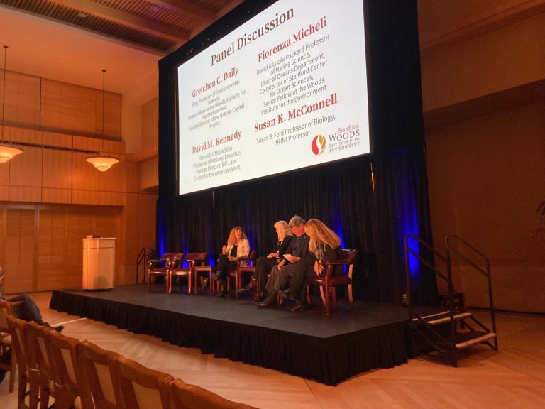 A row of chairs on a stage with four out of six filled. A projector in the background which reads "Panel Discussion."