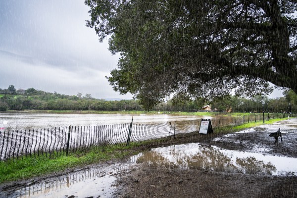 A picture of Lake Lagunita being rained on.